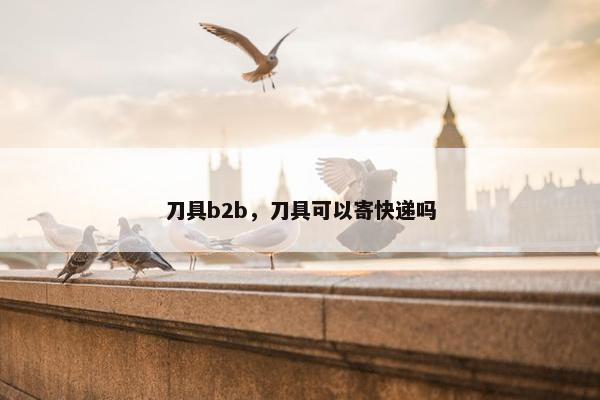 刀具b2b，刀具可以寄快递吗