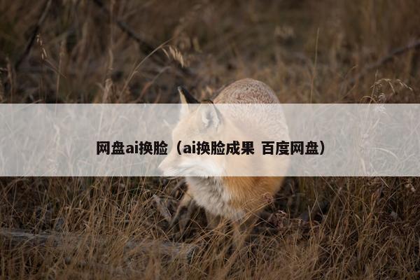 网盘ai换脸（ai换脸成果 百度网盘）