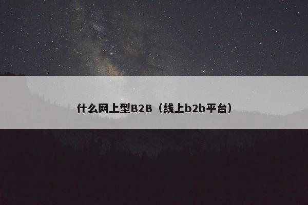 什么网上型B2B（线上b2b平台）