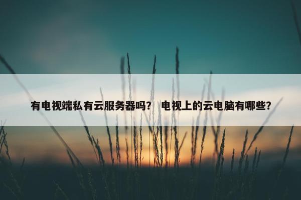 有电视端私有云服务器吗？ 电视上的云电脑有哪些？
