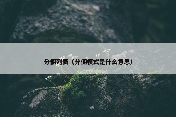 分佣列表（分佣模式是什么意思）
