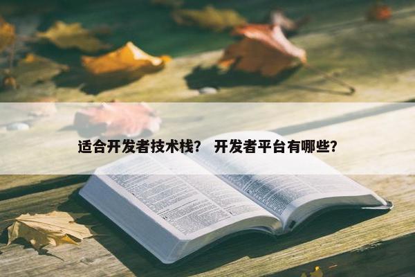 适合开发者技术栈？ 开发者平台有哪些？