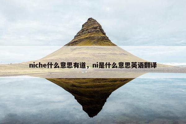 niche什么意思有道，ni是什么意思英语翻译