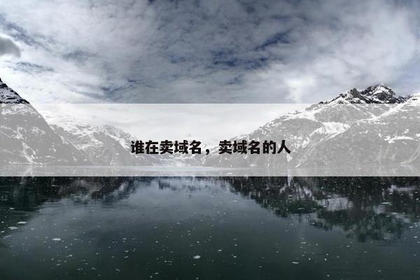 谁在卖域名，卖域名的人