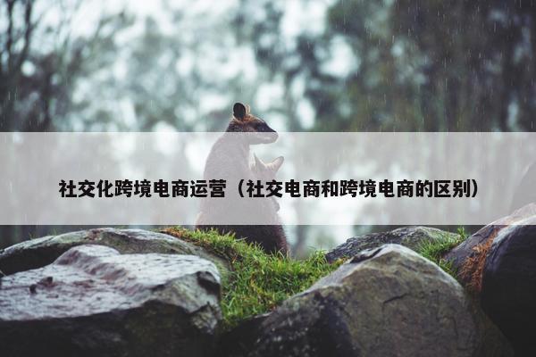 社交化跨境电商运营（社交电商和跨境电商的区别）