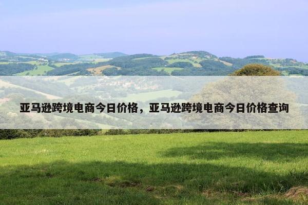 亚马逊跨境电商今日价格，亚马逊跨境电商今日价格查询