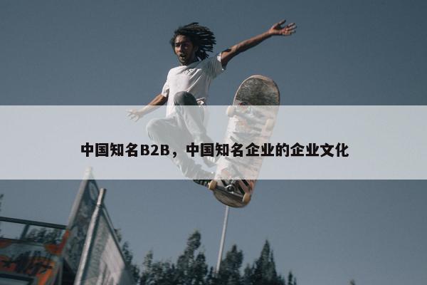 中国知名B2B，中国知名企业的企业文化