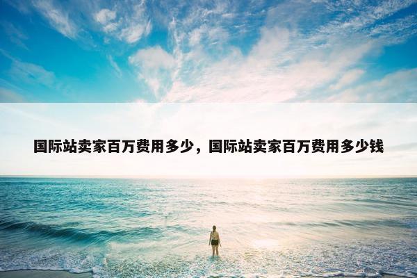 国际站卖家百万费用多少，国际站卖家百万费用多少钱