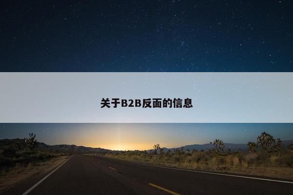 关于B2B反面的信息