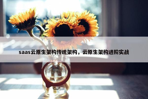 saas云原生架构传统架构，云原生架构进阶实战