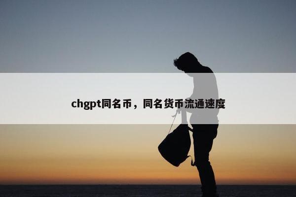 chgpt同名币，同名货币流通速度