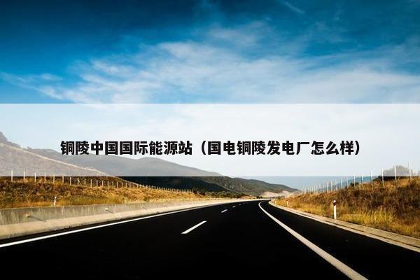 铜陵中国国际能源站（国电铜陵发电厂怎么样）