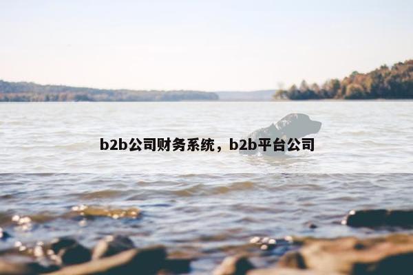 b2b公司财务系统，b2b平台公司
