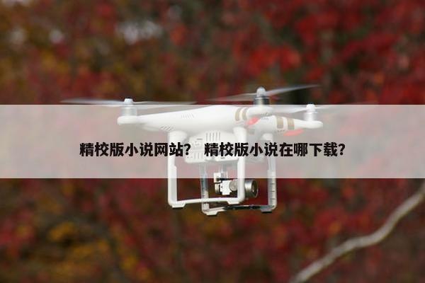 精校版小说网站？ 精校版小说在哪下载？