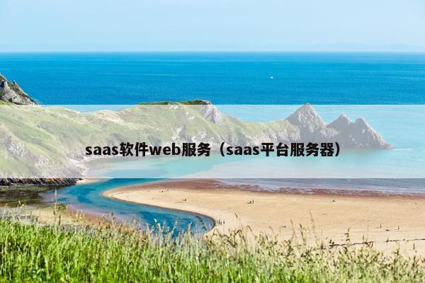 saas软件web服务（saas平台服务器）