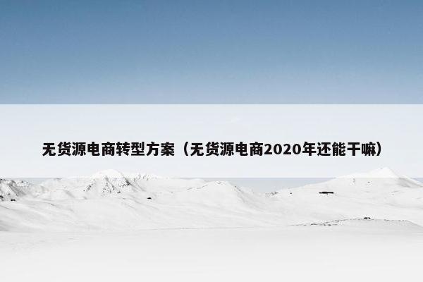 无货源电商转型方案（无货源电商2020年还能干嘛）