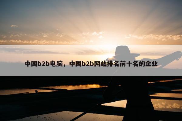 中国b2b电脑，中国b2b网站排名前十名的企业