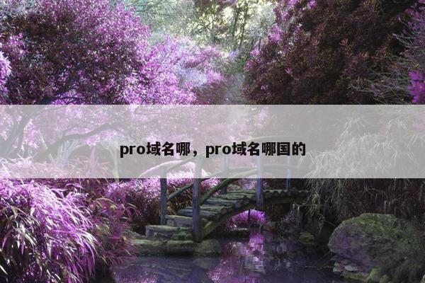 pro域名哪，pro域名哪国的