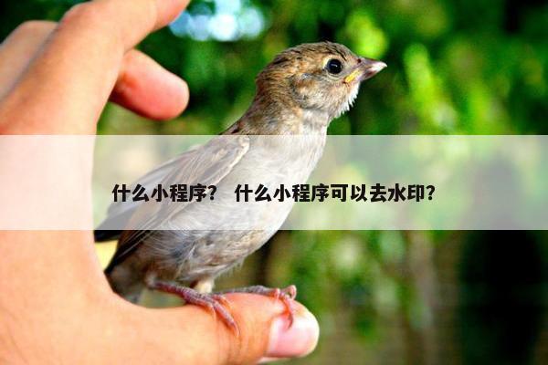 什么小程序？ 什么小程序可以去水印？