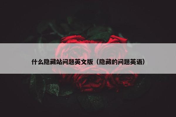 什么隐藏站问题英文版（隐藏的问题英语）