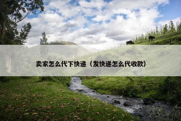 卖家怎么代下快递（发快递怎么代收款）