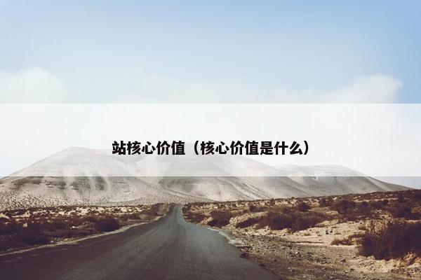 站核心价值（核心价值是什么）