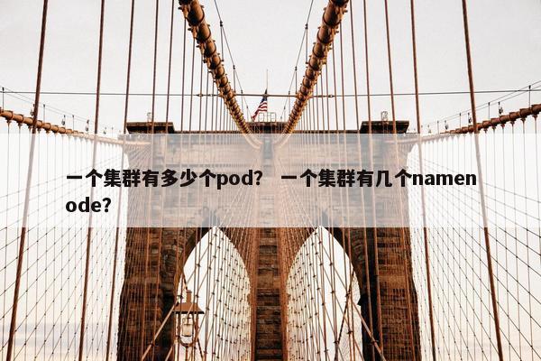 一个集群有多少个pod？ 一个集群有几个namenode？