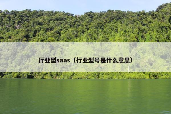 行业型saas（行业型号是什么意思）