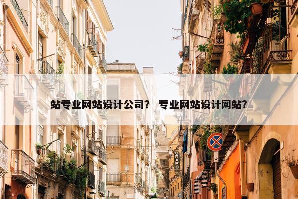 站专业网站设计公司？ 专业网站设计网站？