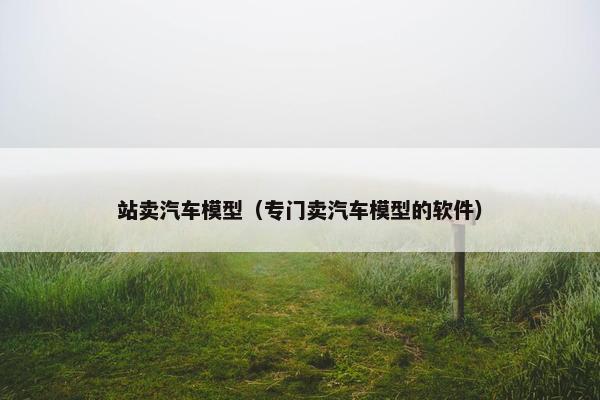 站卖汽车模型（专门卖汽车模型的软件）