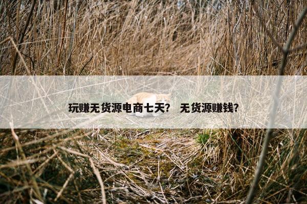 玩赚无货源电商七天？ 无货源赚钱？