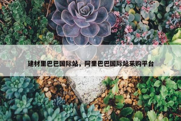 建材里巴巴国际站，阿里巴巴国际站采购平台