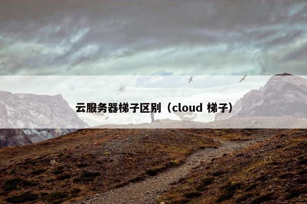 云服务器梯子区别（cloud 梯子）