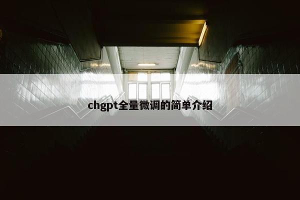 chgpt全量微调的简单介绍