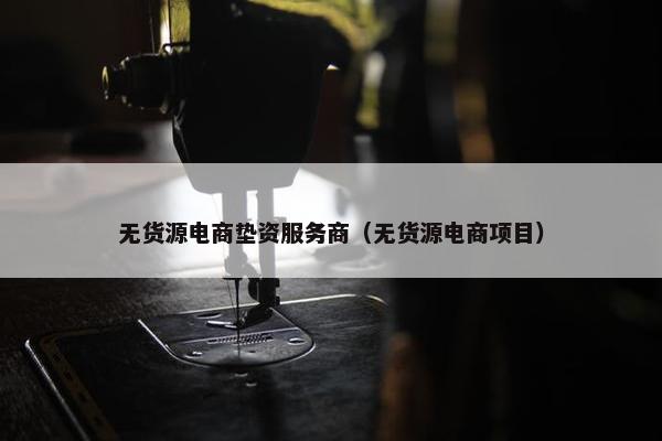 无货源电商垫资服务商（无货源电商项目）