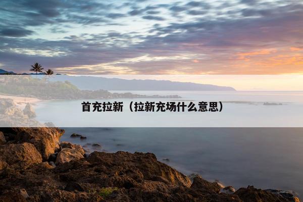 首充拉新（拉新充场什么意思）