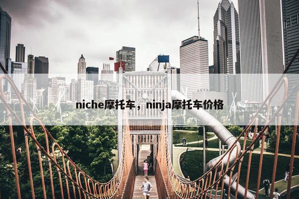 niche摩托车，ninja摩托车价格