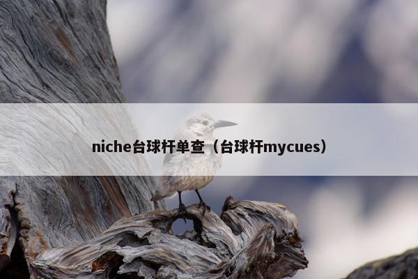 niche台球杆单查（台球杆mycues）