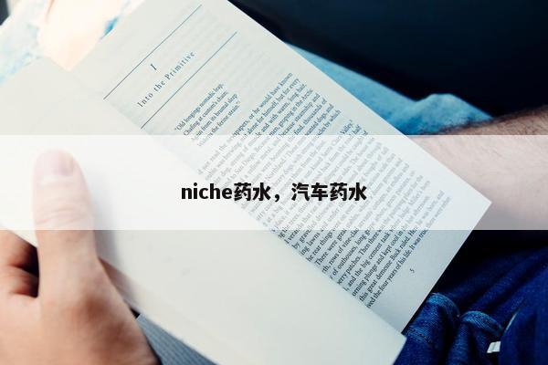 niche药水，汽车药水
