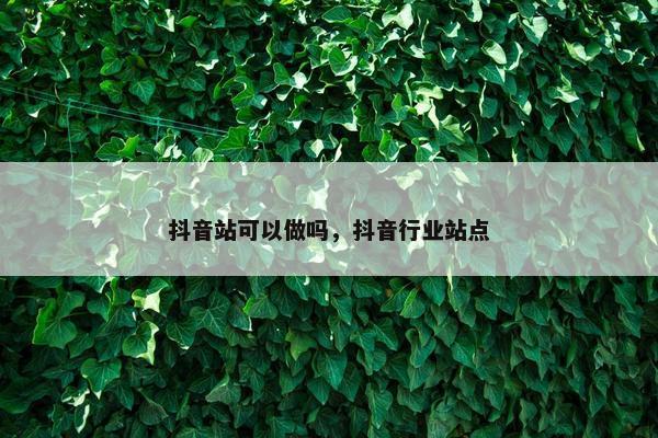 抖音站可以做吗，抖音行业站点