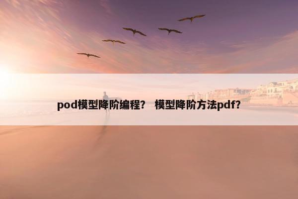 pod模型降阶编程？ 模型降阶方法pdf？
