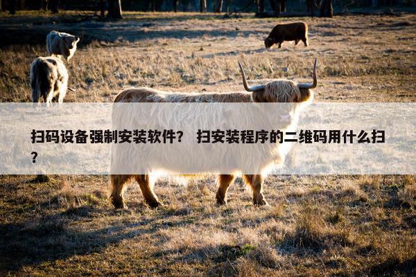 扫码设备强制安装软件？ 扫安装程序的二维码用什么扫？