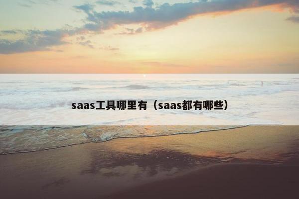 saas工具哪里有（saas都有哪些）
