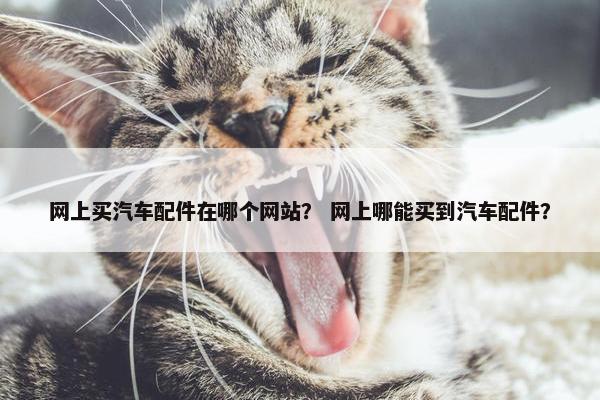 网上买汽车配件在哪个网站？ 网上哪能买到汽车配件？