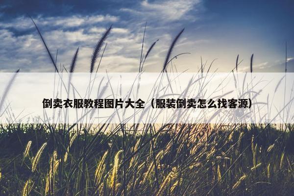 倒卖衣服教程图片大全（服装倒卖怎么找客源）