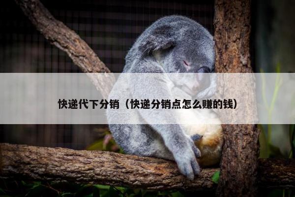 快递代下分销（快递分销点怎么赚的钱）