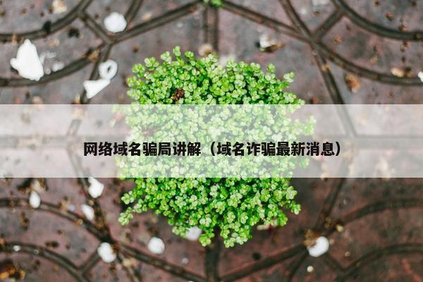 网络域名骗局讲解（域名诈骗最新消息）