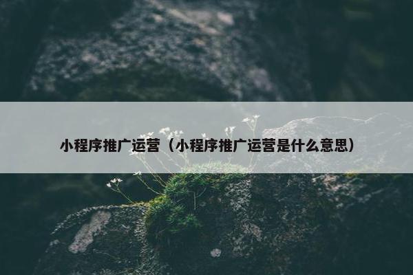 小程序推广运营（小程序推广运营是什么意思）