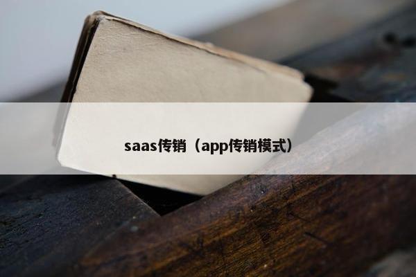 saas传销（app传销模式）