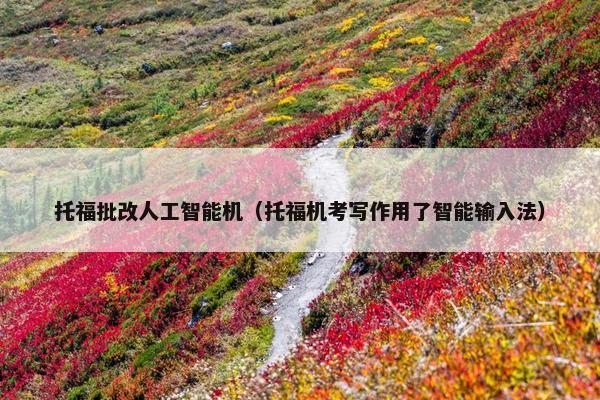 托福批改人工智能机（托福机考写作用了智能输入法）